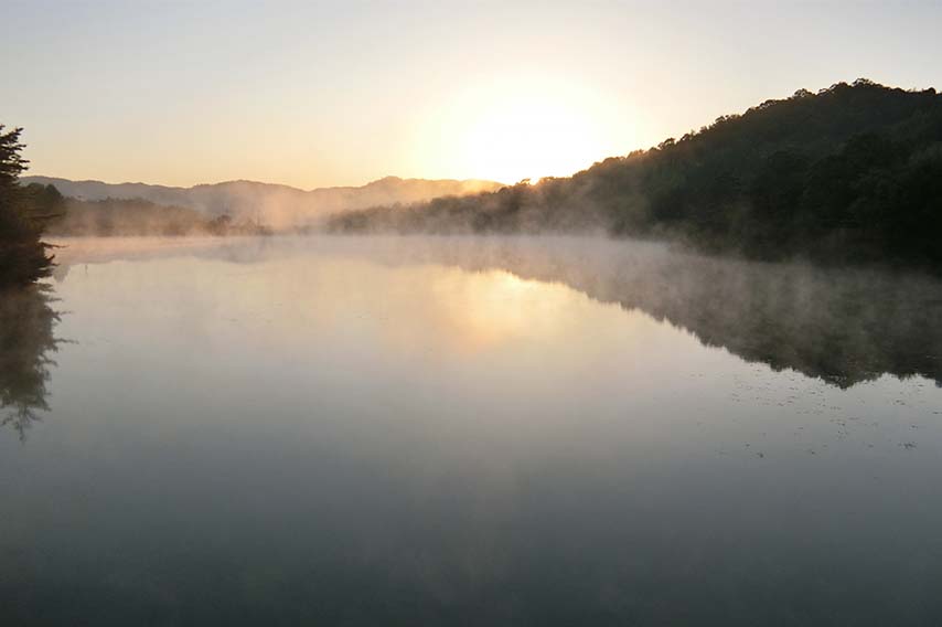早朝の池